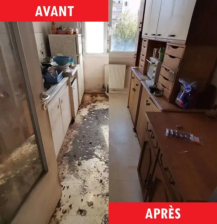 Nos services de nettoyage de maisons et appartements Diogène